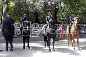 POLICÍA MONTADA