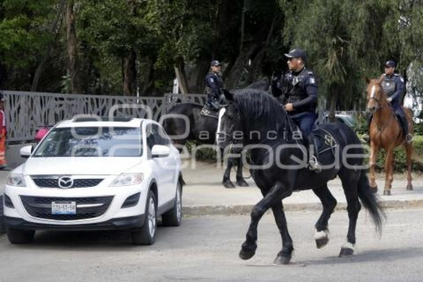 POLICÍA MONTADA