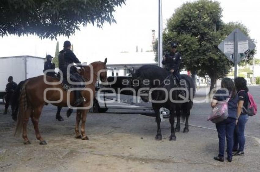 POLICÍA MONTADA