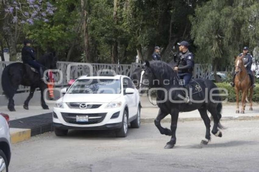 POLICÍA MONTADA