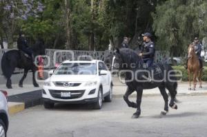 POLICÍA MONTADA