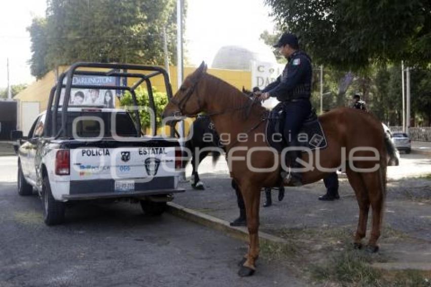 POLICÍA MONTADA