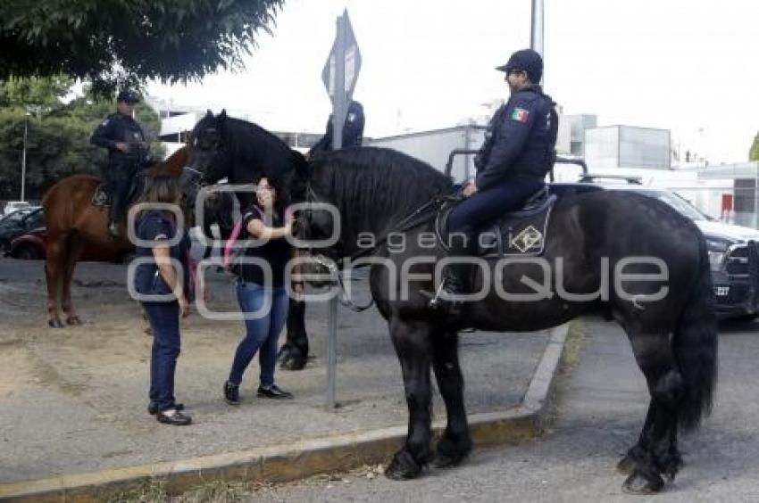 POLICÍA MONTADA