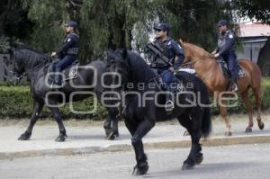 POLICÍA MONTADA