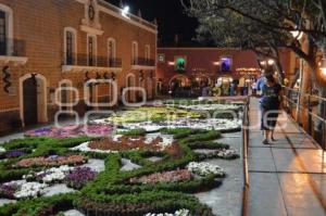 ATLIXCO . TAPETE DE FLORES