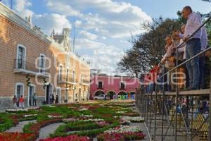 ATLIXCO . TAPETE DE FLORES