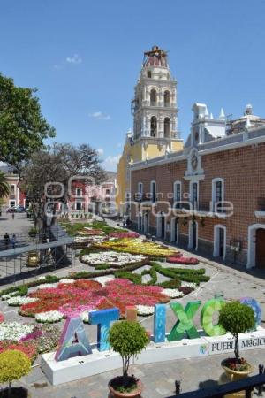 ATLIXCO . TAPETE DE FLORES