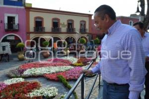 ATLIXCO . TAPETE DE FLORES