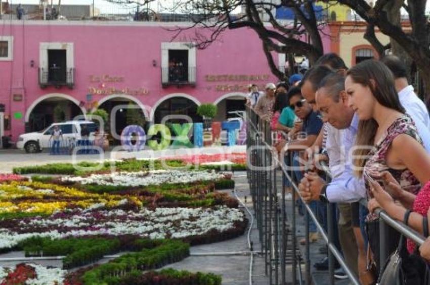 ATLIXCO . TAPETE DE FLORES