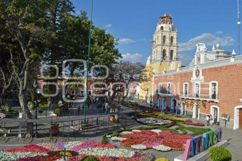 ATLIXCO . TAPETE DE FLORES