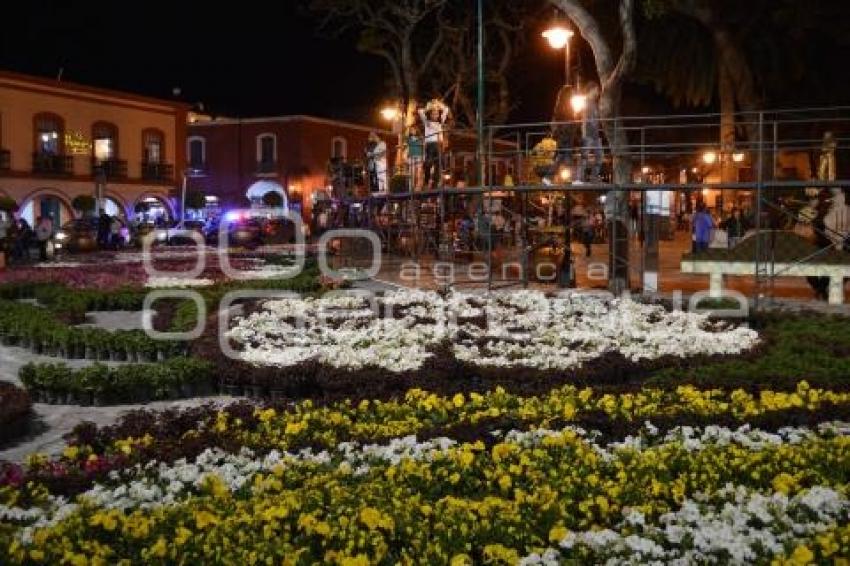 ATLIXCO . TAPETE DE FLORES