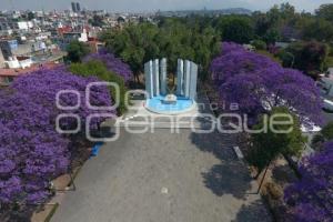 ENFOQUE AÉREO . JACARANDAS