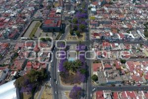 ENFOQUE AÉREO . JACARANDAS