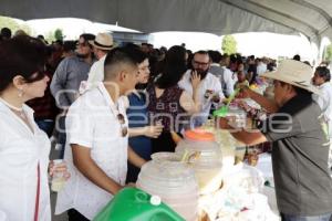 FERIA DEL PULQUE