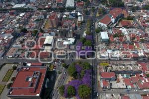 ENFOQUE AÉREO . JACARANDAS