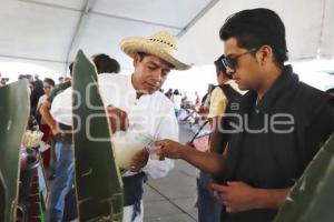 FERIA DEL PULQUE