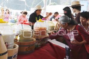 FERIA DEL PULQUE