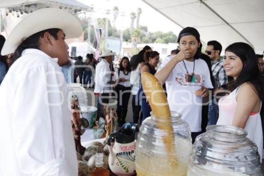 FERIA DEL PULQUE