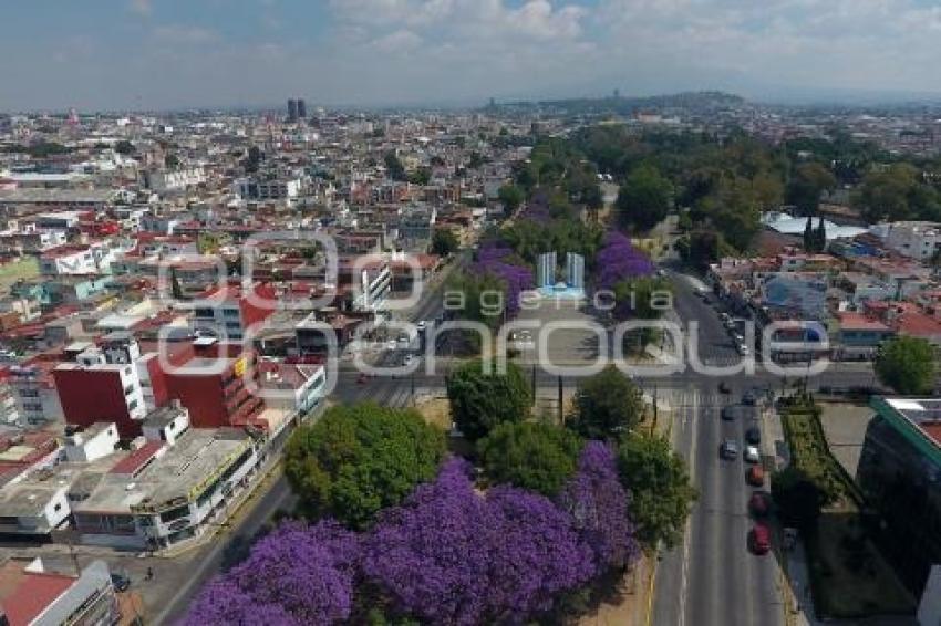 ENFOQUE AÉREO . JACARANDAS