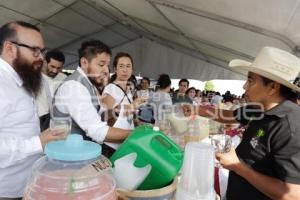 FERIA DEL PULQUE