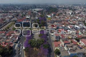 ENFOQUE AÉREO . JACARANDAS