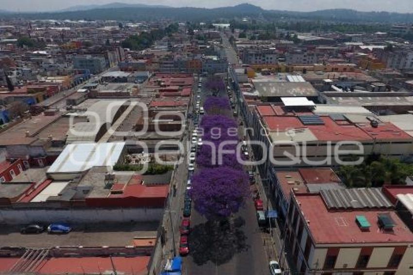 ENFOQUE AÉREO . JACARANDAS