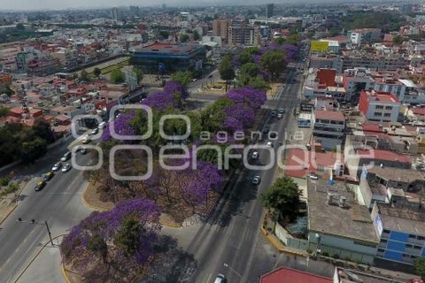 ENFOQUE AÉREO . JACARANDAS