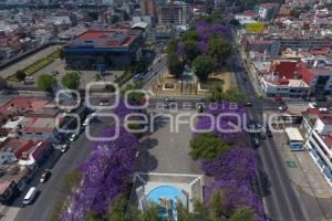 ENFOQUE AÉREO . JACARANDAS