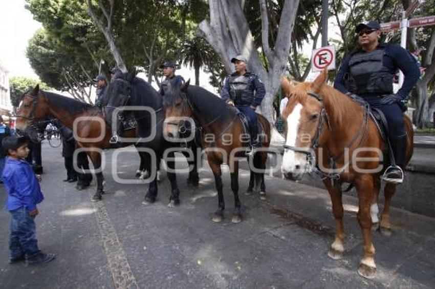 POLICÍA MONTADA