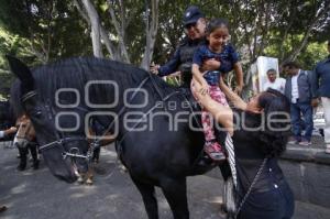 POLICÍA MONTADA