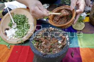 CONCURSO COMIDA CON CHAPULINES