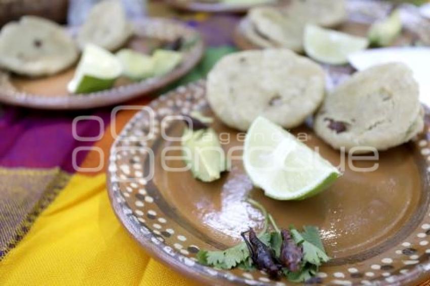 CONCURSO COMIDA CON CHAPULINES