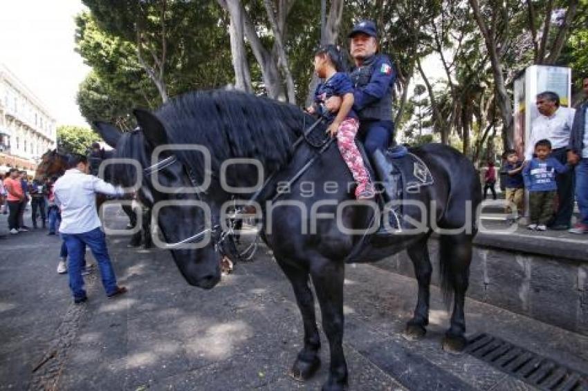 POLICÍA MONTADA