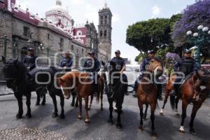 POLICÍA MONTADA