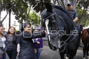 POLICÍA MONTADA