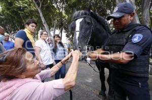 POLICÍA MONTADA