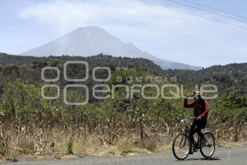 VOLCÁN POPOCATÉPETL . CAMBIO DE FASE