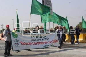 MANIFESTACIÓN . AUTOPISTA