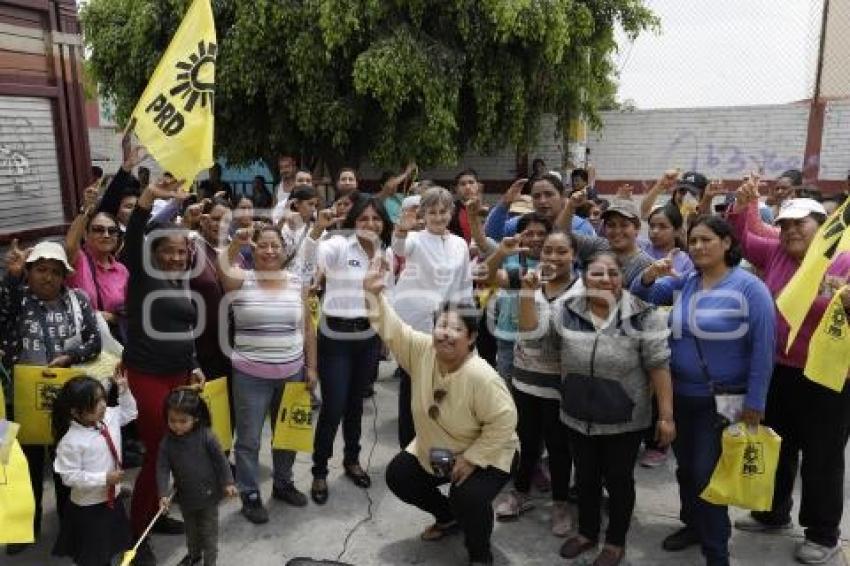 CAMPAÑA CÁRDENAS . GONZÁLEZ DE COSSÍO
