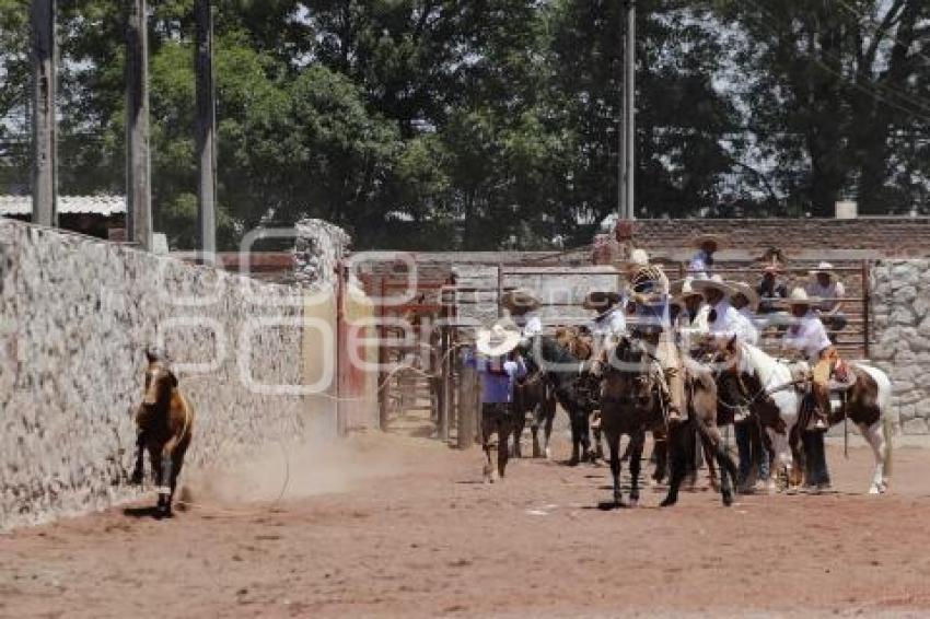 CIRCUITO CHARRO