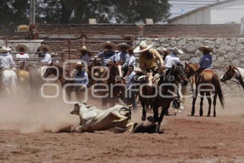 CIRCUITO CHARRO