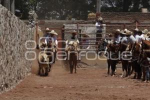 CIRCUITO CHARRO