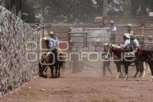 CIRCUITO CHARRO