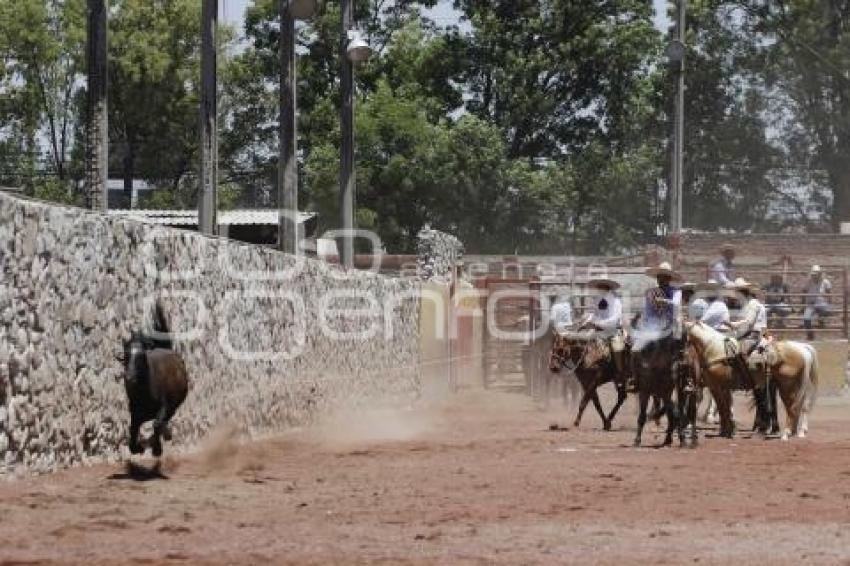 CIRCUITO CHARRO