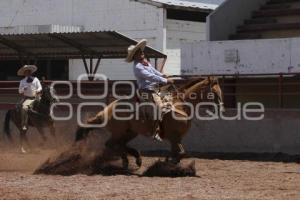 CIRCUITO CHARRO