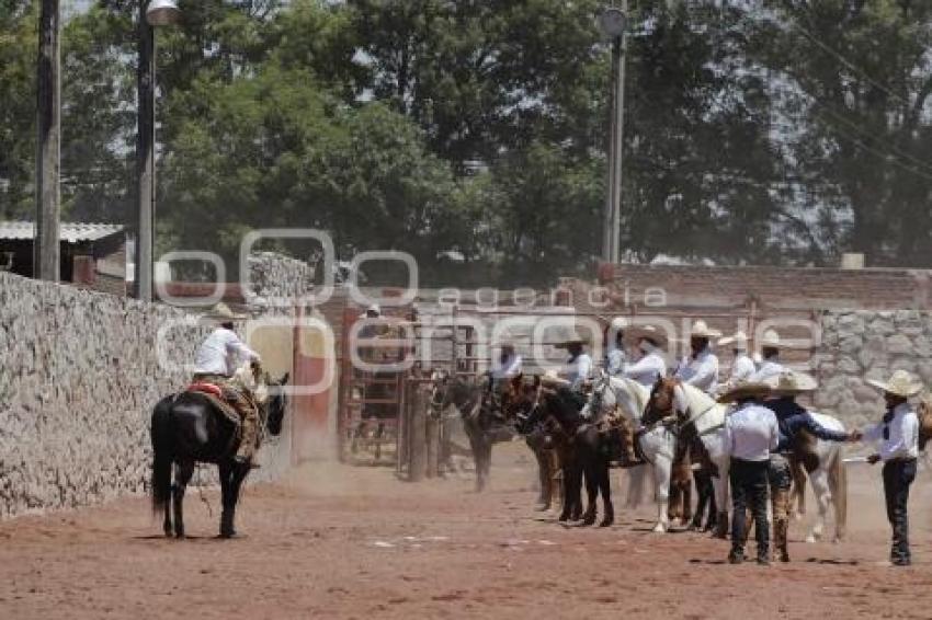 CIRCUITO CHARRO