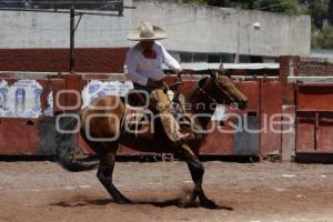 CIRCUITO CHARRO