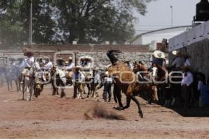 CIRCUITO CHARRO