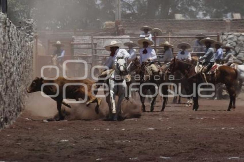 CIRCUITO CHARRO