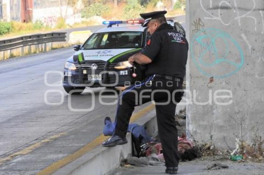 NOTA ROJA . ATROPELLADO AUTOPISTA